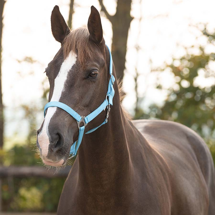 Halter Slide Light Blue