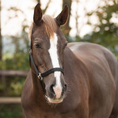 Halter Slide Black Halter Slide Black