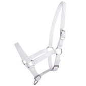 Foal Halter Adjustable White Foal Halter Adjustable White