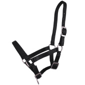 Foal Halter Adjustable Black Foal Halter Adjustable Black