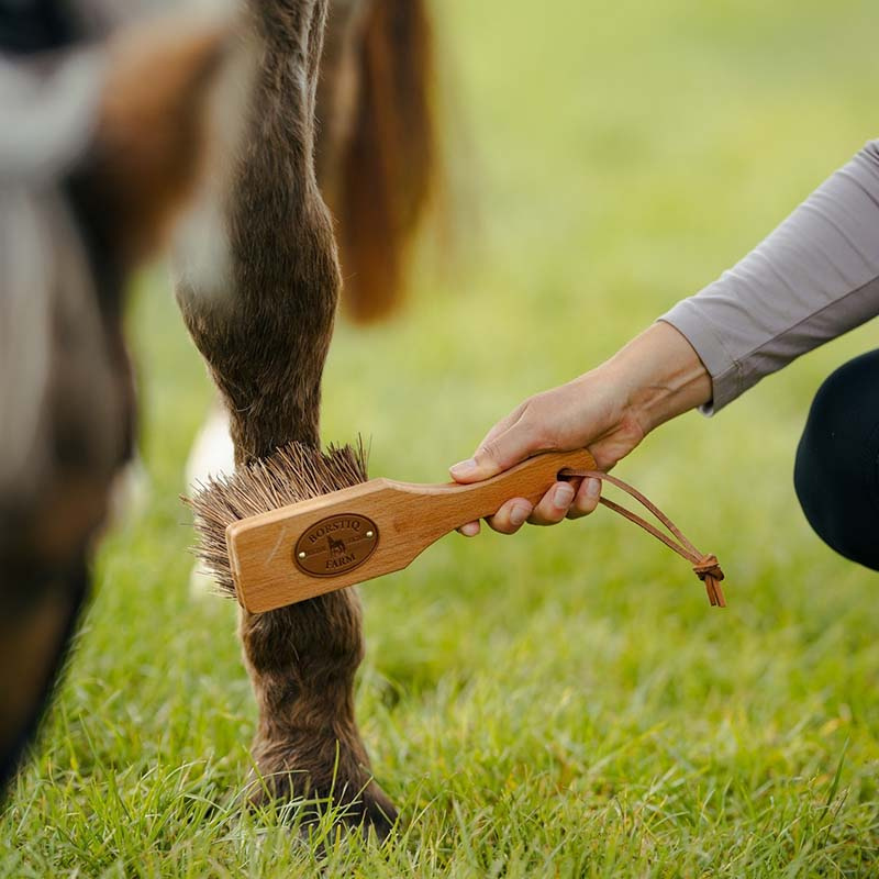 Brush Islänningen Bassine Brown