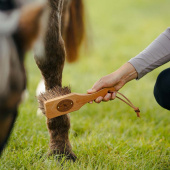 Brush Islänningen Bassine Brown Brush Islänningen Bassine Brown