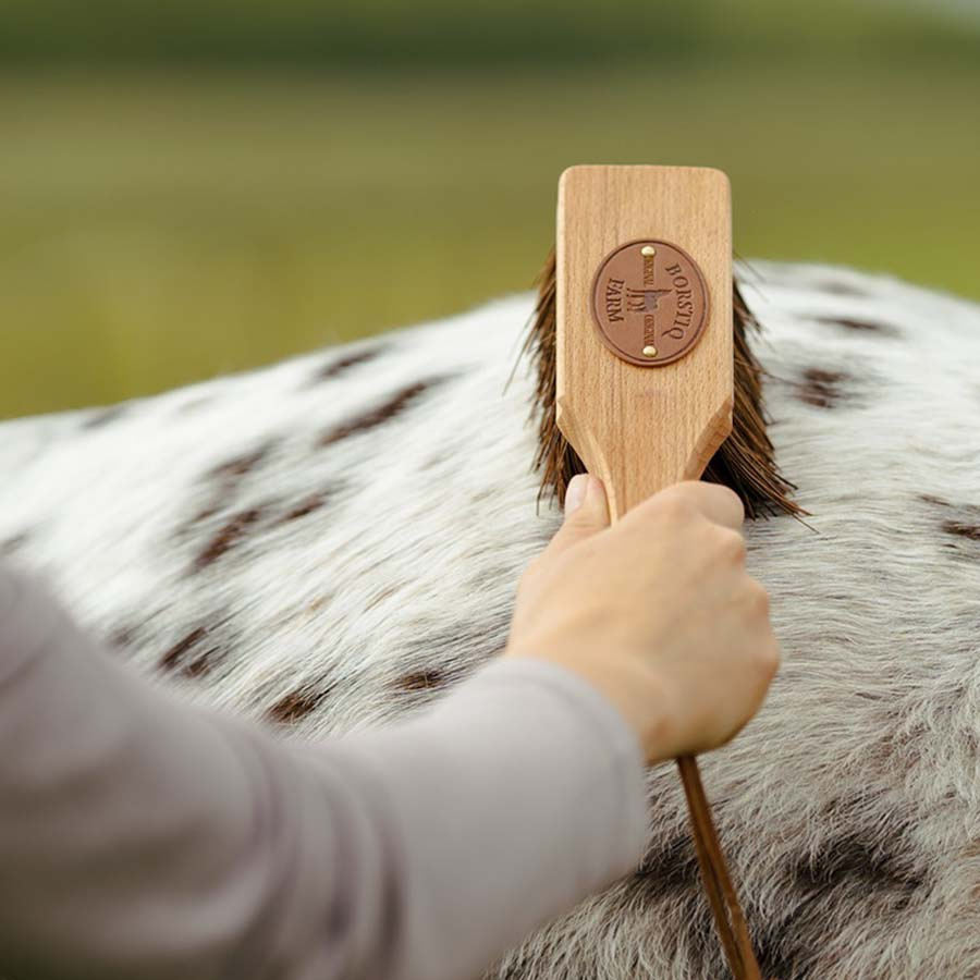 Brush Islänningen Bassine Brown
