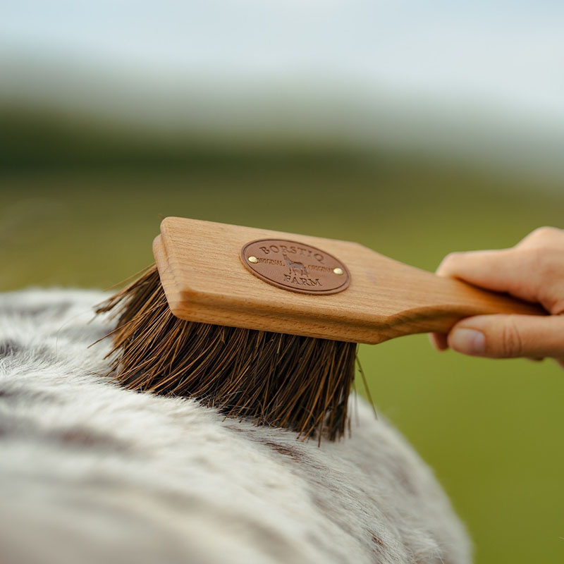 Brush Islänningen Bassine Brown