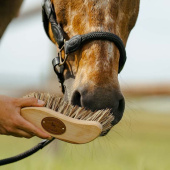 Brush S-Panel Unionmix Brown Medium Brush S-Panel Unionmix Brown Medium