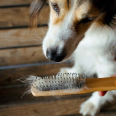 Mane & Tail Brush Metallpiggar Brown Mane & Tail Brush Metallpiggar Brown