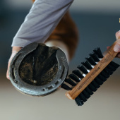 Hoof Brush with Hoof Pick Dubbelsidig Brown Hoof Brush with Hoof Pick Dubbelsidig Brown