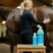 Liniment Blue Liniment Blue
