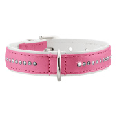 Dog Collar Modern Art Luxury Cerise Dog Collar Modern Art Luxury Cerise