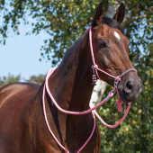 Rope Halter with Reins Combi Liberty Light Pink Rope Halter with Reins Combi Liberty Light Pink