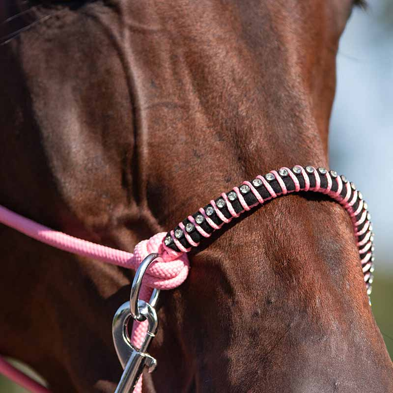 Rope Halter with Reins Combi Liberty Light Pink