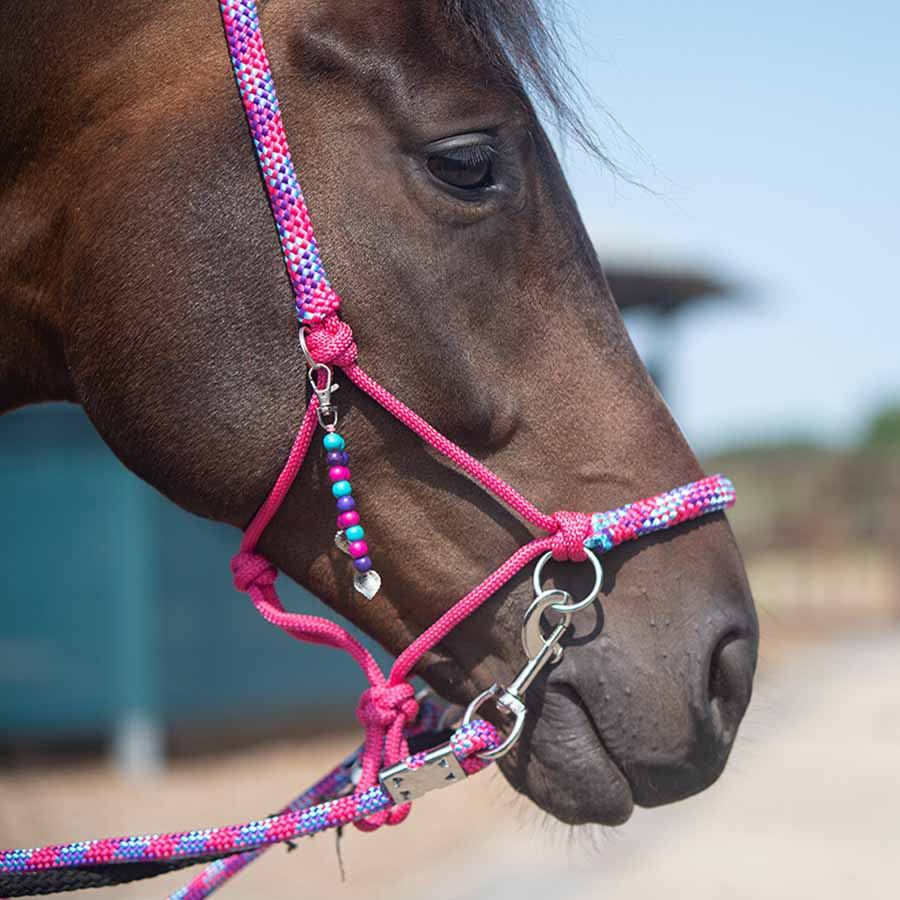 Rope Halter with Reins Combi Liberty Pink