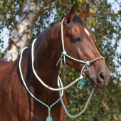 Rope Halter with Reins Combi Liberty Light Green Rope Halter with Reins Combi Liberty Light Green
