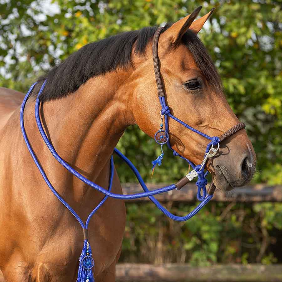 Rope Halter with Reins Combi Liberty Blue
