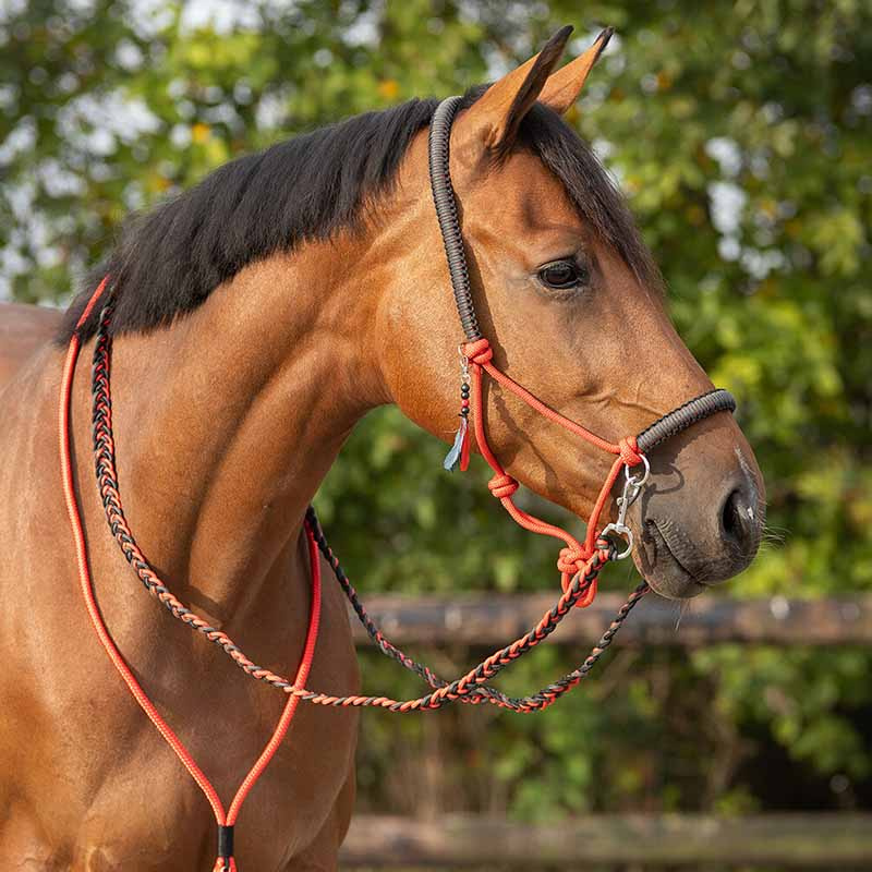Rope Halter with Reins Combi Liberty Red