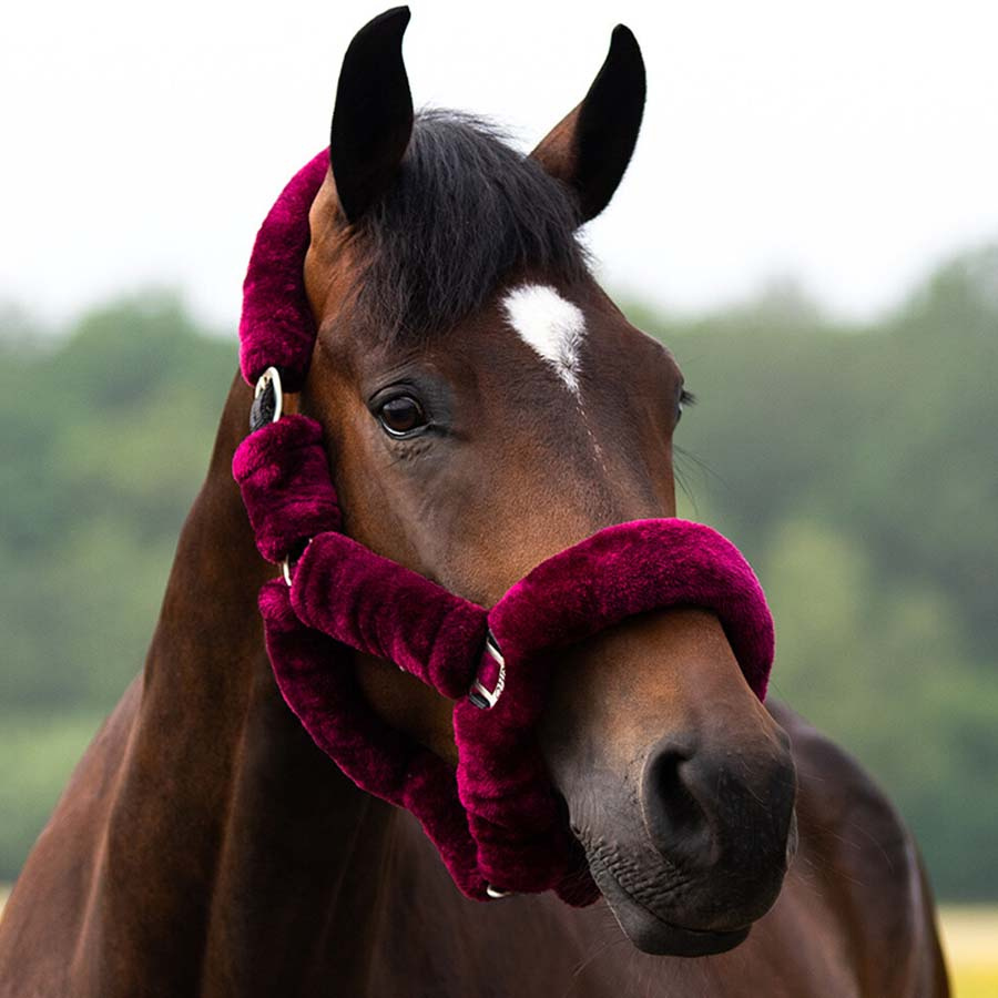 Halter Alaska Faux Fur Burgundy