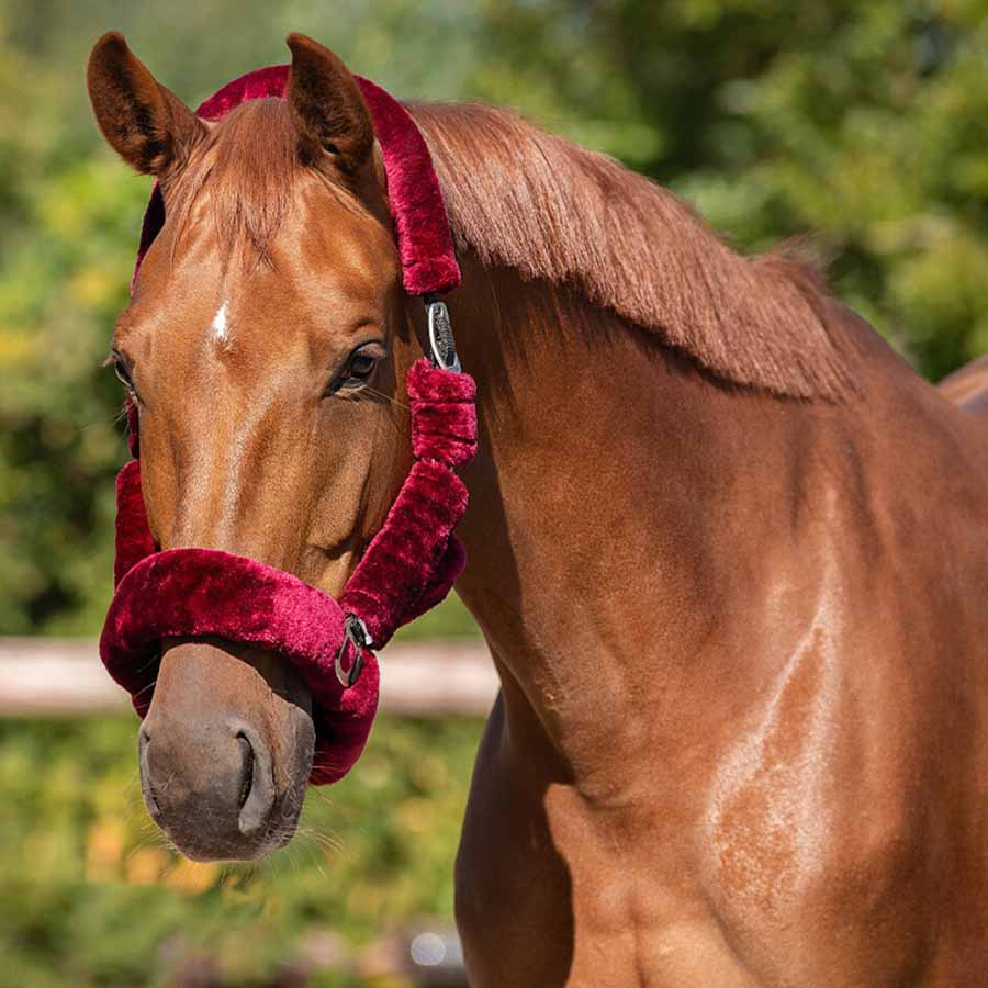 Halter Alaska Faux Fur Burgundy