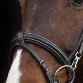 Bridle Dortmund Black Bridle Dortmund Black
