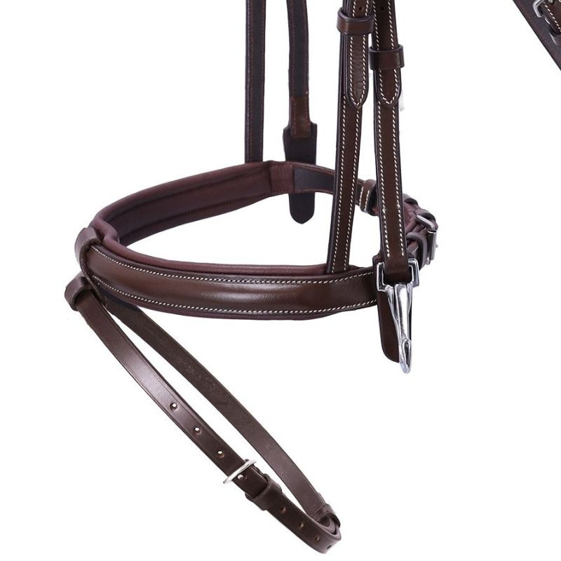 Bridle Dortmund Brown