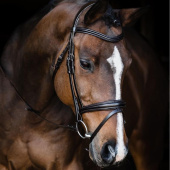 Bridle Monza Black Bridle Monza Black