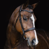 Bridle Monza Black Bridle Monza Black