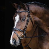 Bridle Monza Black Bridle Monza Black
