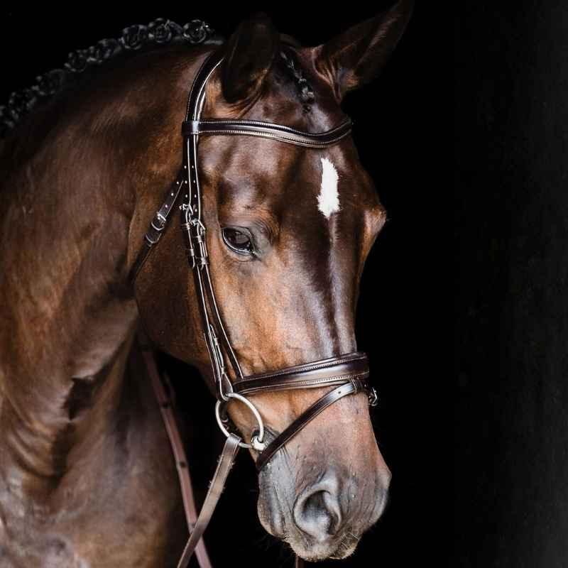 Bridle Monza Brown