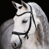 Bridle Equitus Alpha Black Bridle Equitus Alpha Black
