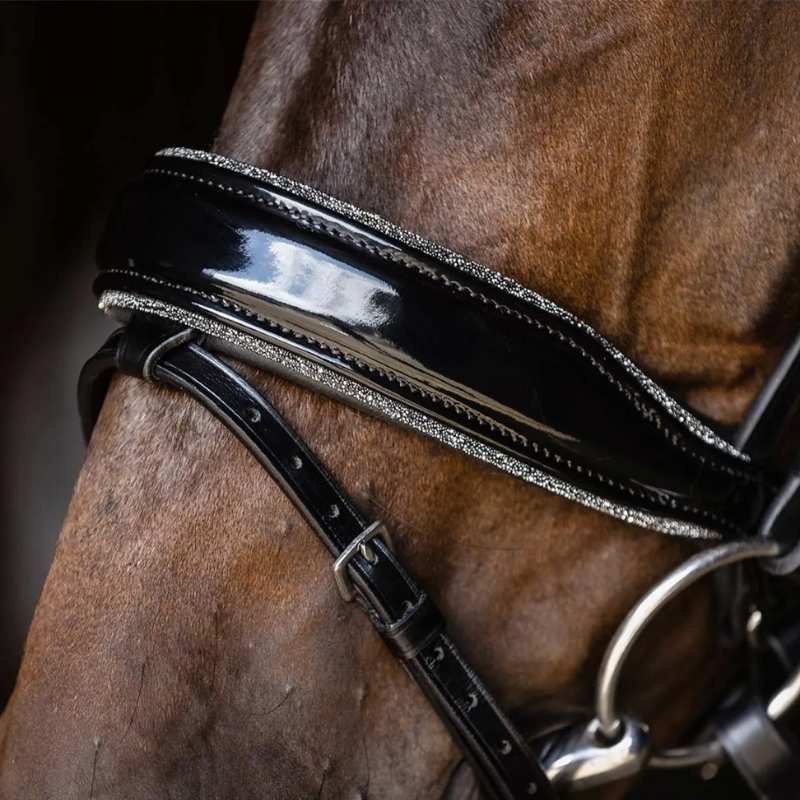 Dressage Bridle Stanford Glam Black