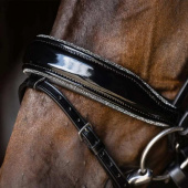 Dressage Bridle Stanford Glam Black Dressage Bridle Stanford Glam Black