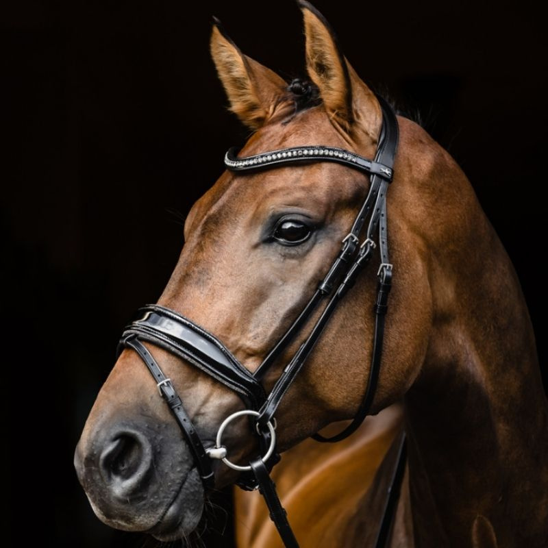 Dressage Bridle Stanford Glam Black