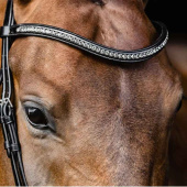 Dressage Bridle Stanford Glam Black Dressage Bridle Stanford Glam Black