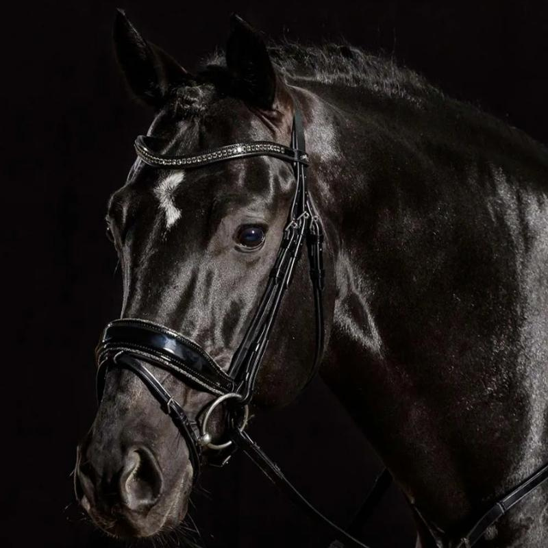 Dressage Bridle Stanford Glam Black