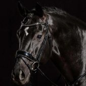 Dressage Bridle Stanford Glam Black Dressage Bridle Stanford Glam Black
