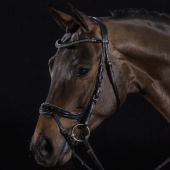 Bridle Equitus Beta Glam Black Bridle Equitus Beta Glam Black