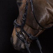 Bridle Equitus Beta Glam Black Bridle Equitus Beta Glam Black