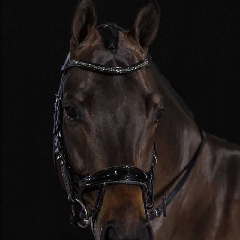 Bridle Equitus Beta Glam Black