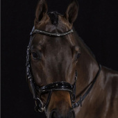 Bridle Equitus Beta Glam Black Bridle Equitus Beta Glam Black
