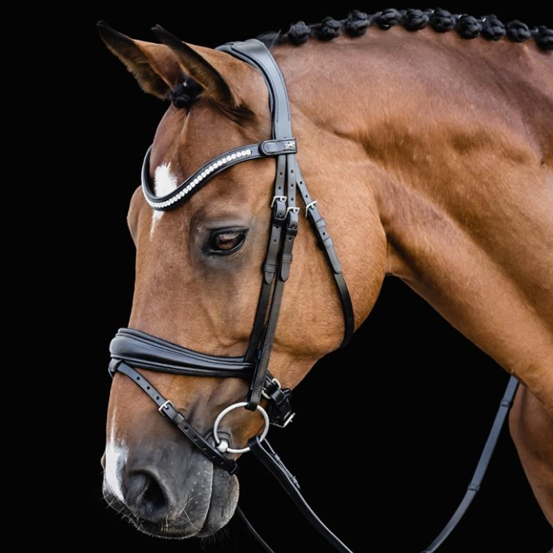 Dressage Bridle Charleston Black