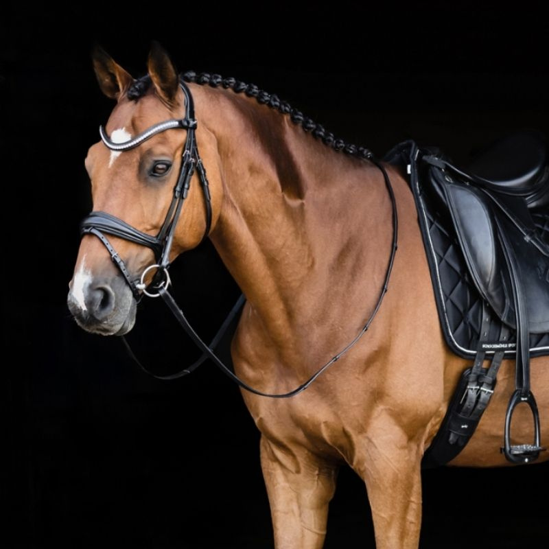Dressage Bridle Charleston Black