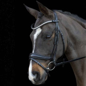 Dressage Bridle Charleston Black Dressage Bridle Charleston Black
