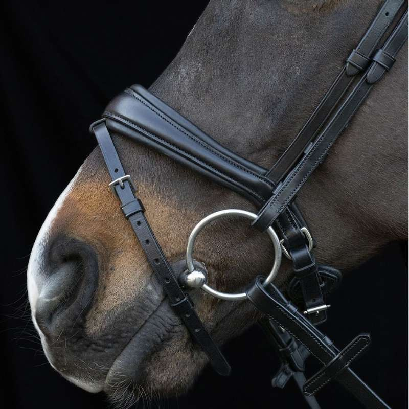Dressage Bridle Charleston Black