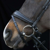 Dressage Bridle Charleston Black Dressage Bridle Charleston Black
