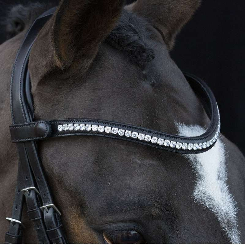 Dressage Bridle Charleston Black
