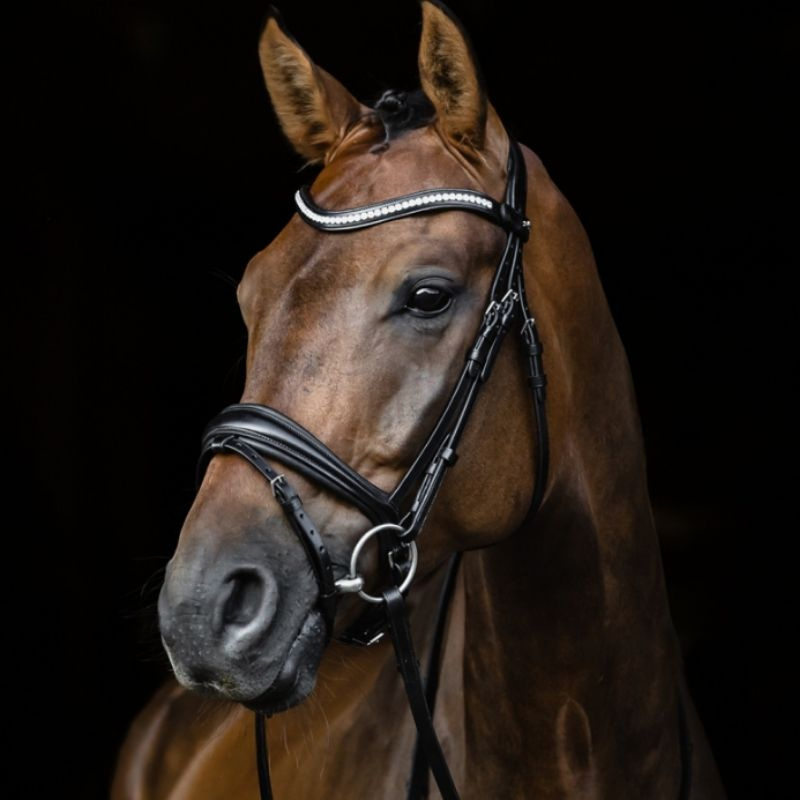 Dressage Bridle Charleston Black