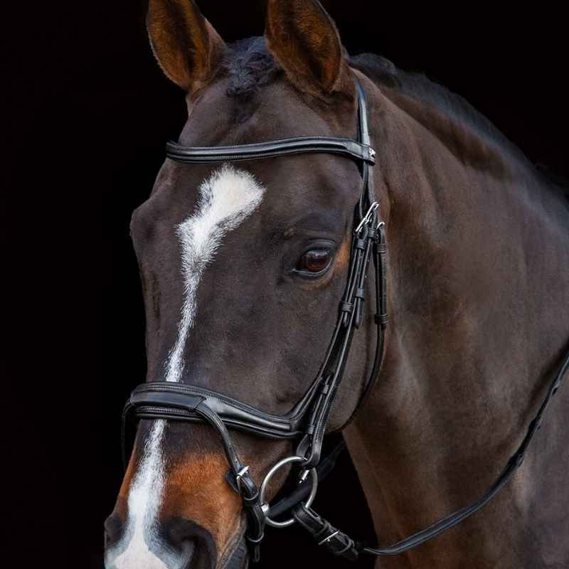 Bridle Ancona Select Black