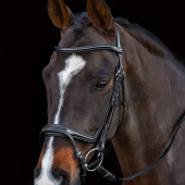 Bridle Ancona Select Black Bridle Ancona Select Black