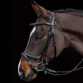Bridle Ancona Select Black Bridle Ancona Select Black