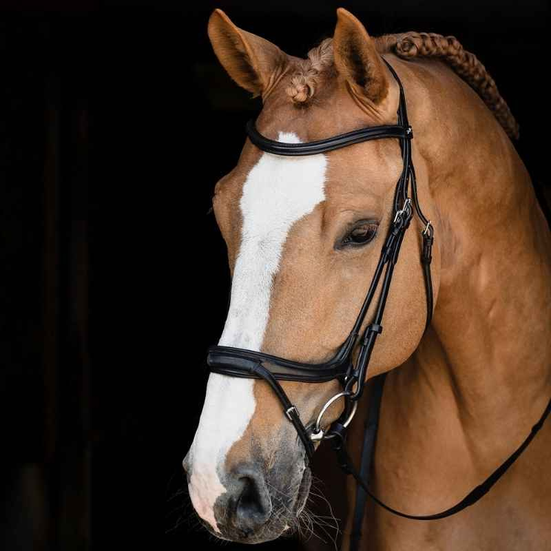 Bridle Ancona Select Black