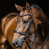 Bridle Ancona Select Black Bridle Ancona Select Black